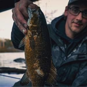 Meet your Posher, Joshua